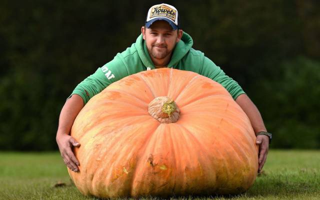 daily picdump 107 pics 5.html - 107 HD Photos | Premium Gallery 2017