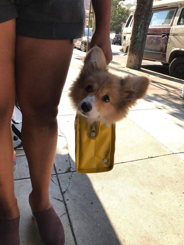 daily picdump 107 pics 5.html - 107 HD Photos | Premium Gallery 2017