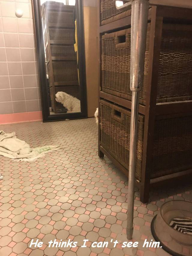 daily picdump 107 pics 5.html - 107 HD Photos | Premium Gallery 2017