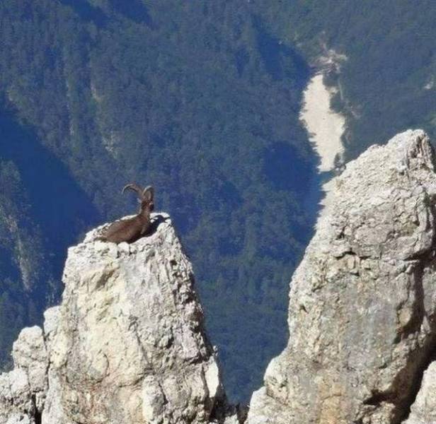 daily picdump 98 pics 36.html - 98 HD Photos | Premium Gallery 2017