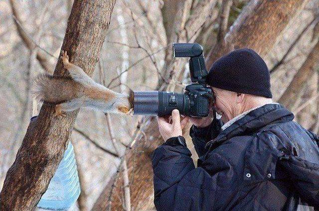 daily picdump 98 pics 36.html - 98 HD Photos | Premium Gallery 2017