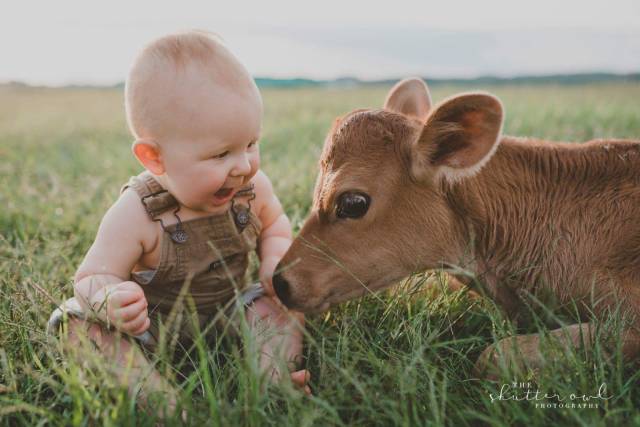 daily picdump 98 pics 36.html - 98 HD Photos | Premium Gallery 2017