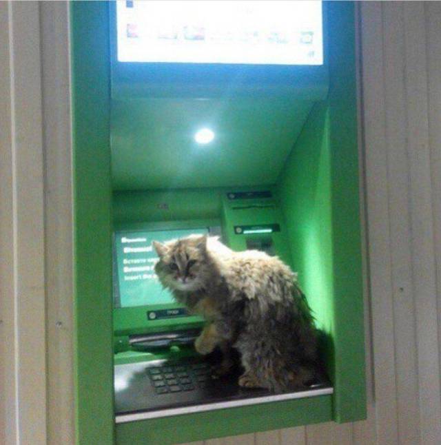 daily picdump 98 pics 36.html - 98 HD Photos | Premium Gallery 2017