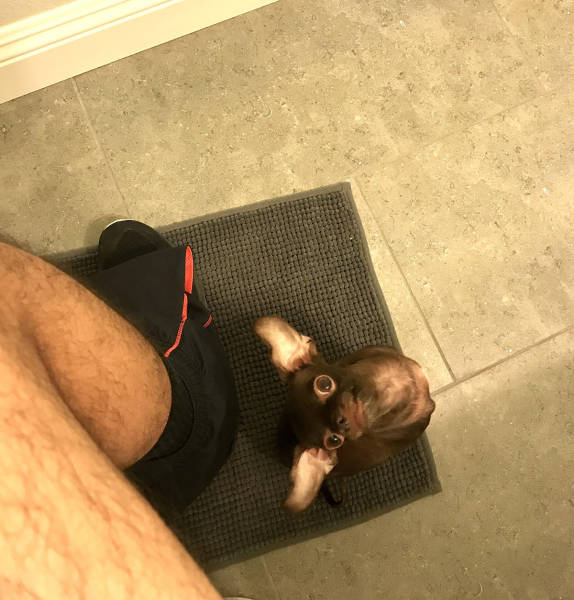 morning picdump 54 pics 22.html - 54 HD Photos | Premium Gallery 2017