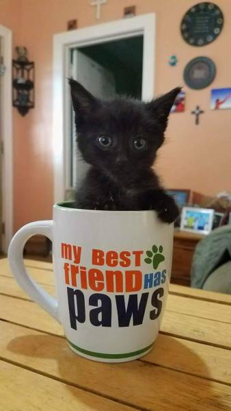 morning picdump 54 pics 22.html - 54 HD Photos | Premium Gallery 2017