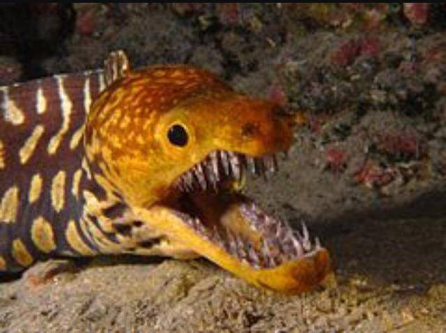 morning picdump 54 pics 22.html - 54 HD Photos | Premium Gallery 2017