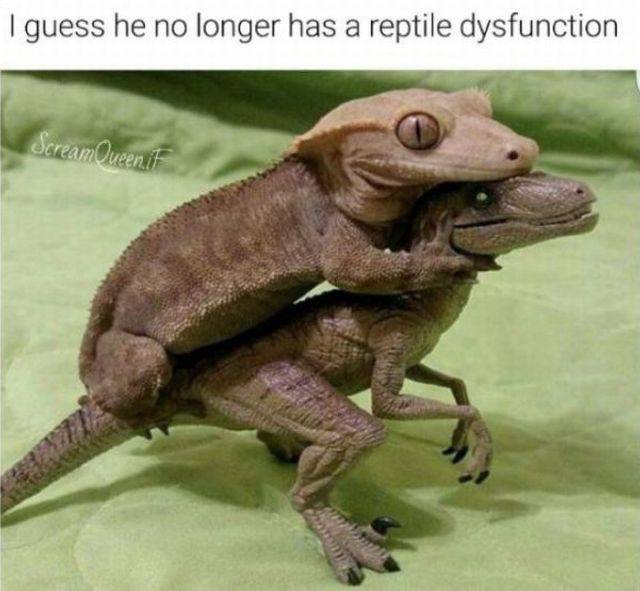 Dirty Humor Wants You Bad!