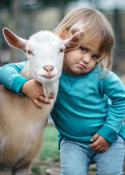 morning picdump 53 pics 21.html - 53 HD Photos | Premium Gallery 2017