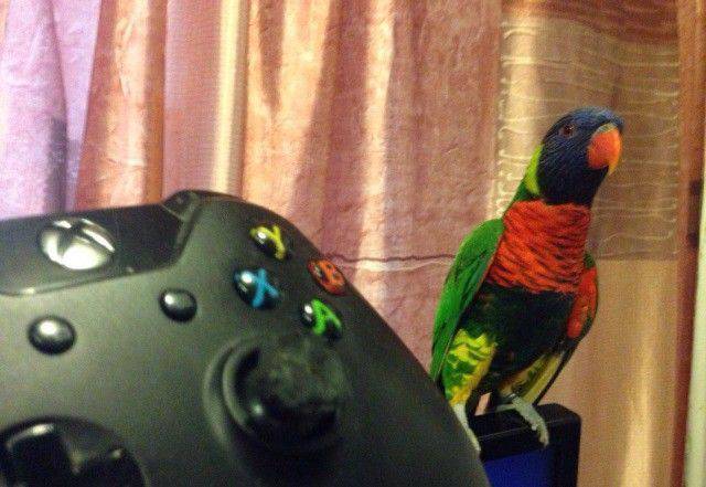 daily picdump 99 pics 39.html - 99 HD Photos | Premium Gallery 2017