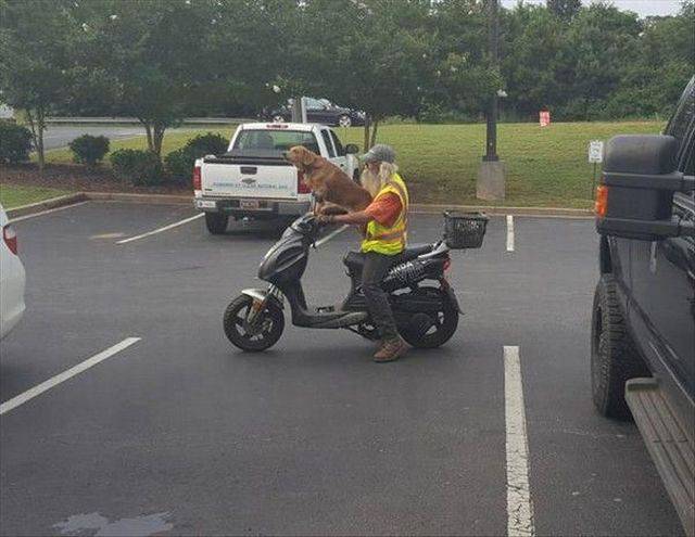 daily picdump 99 pics 39.html - 99 HD Photos | Premium Gallery 2017