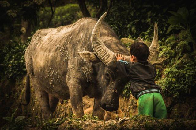 daily picdump 99 pics 39.html - 99 HD Photos | Premium Gallery 2017