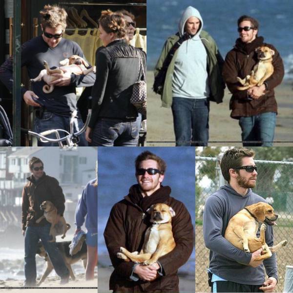 daily picdump 99 pics 39.html - 99 HD Photos | Premium Gallery 2017