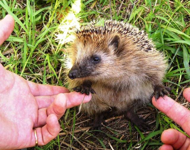 daily picdump 99 pics 39.html - 99 HD Photos | Premium Gallery 2017