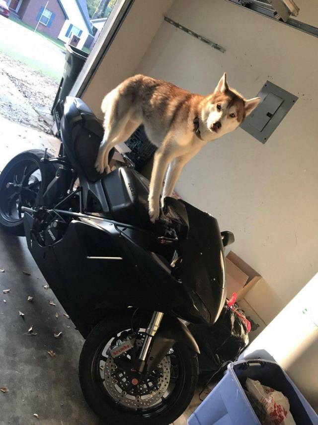 daily picdump 99 pics 39.html - 99 HD Photos | Premium Gallery 2017