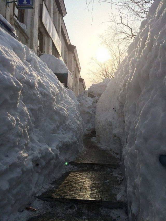 daily picdump 99 pics 39.html - 99 HD Photos | Premium Gallery 2017