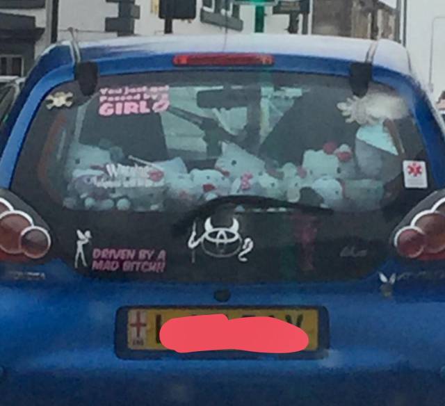 morning picdump 51 pics 8.html - 51 HD Photos | Premium Gallery 2017