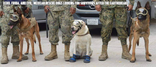 morning picdump 51 pics 8.html - 51 HD Photos | Premium Gallery 2017