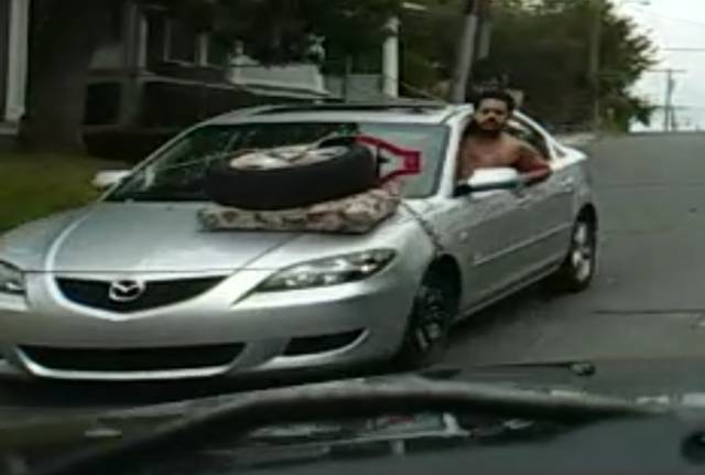 morning picdump 51 pics 8.html - 51 HD Photos | Premium Gallery 2017