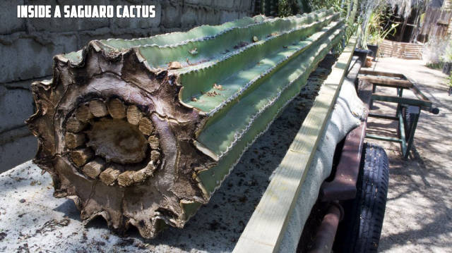 morning picdump 51 pics 8.html - 51 HD Photos | Premium Gallery 2017