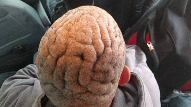 daily picdump 99 pics 9.html - 99 HD Photos | Premium Gallery 2017