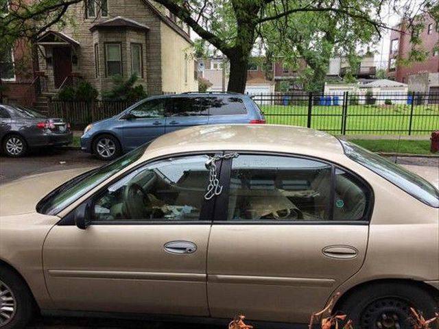 daily picdump 99 pics 9.html - 99 HD Photos | Premium Gallery 2017