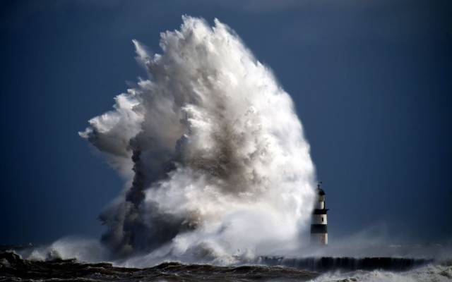 daily picdump 99 pics 9.html - 99 HD Photos | Premium Gallery 2017