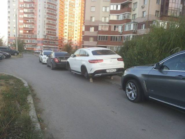 daily picdump 99 pics 9.html - 99 HD Photos | Premium Gallery 2017