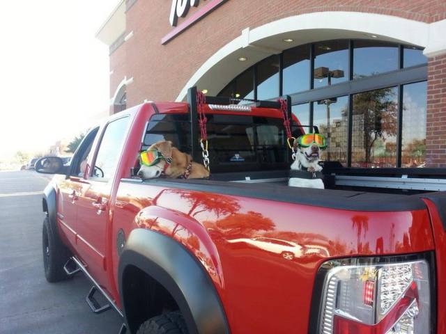 daily picdump 99 pics 9.html - 99 HD Photos | Premium Gallery 2017