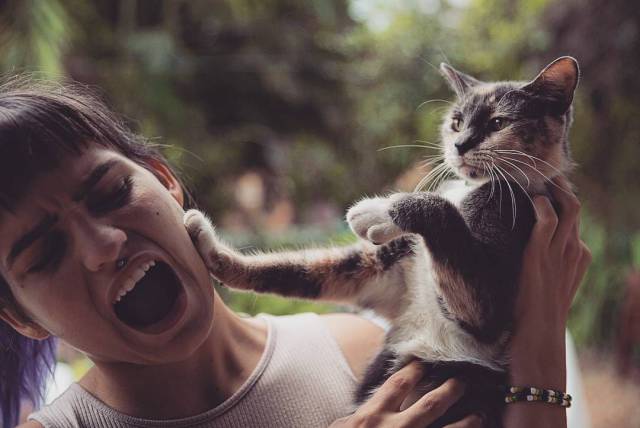 daily picdump 99 pics 9.html - 99 HD Photos | Premium Gallery 2017