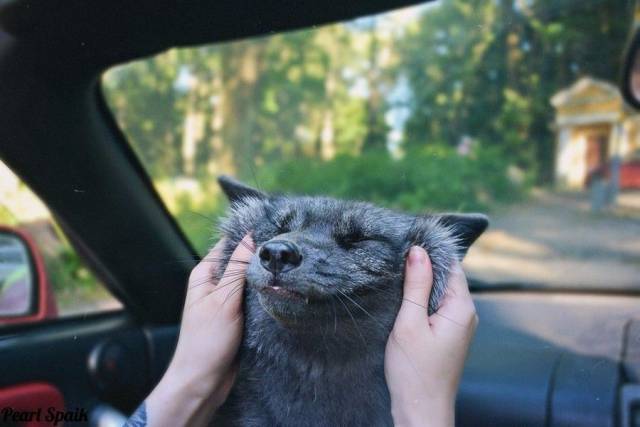 daily picdump 99 pics 9.html - 99 HD Photos | Premium Gallery 2017