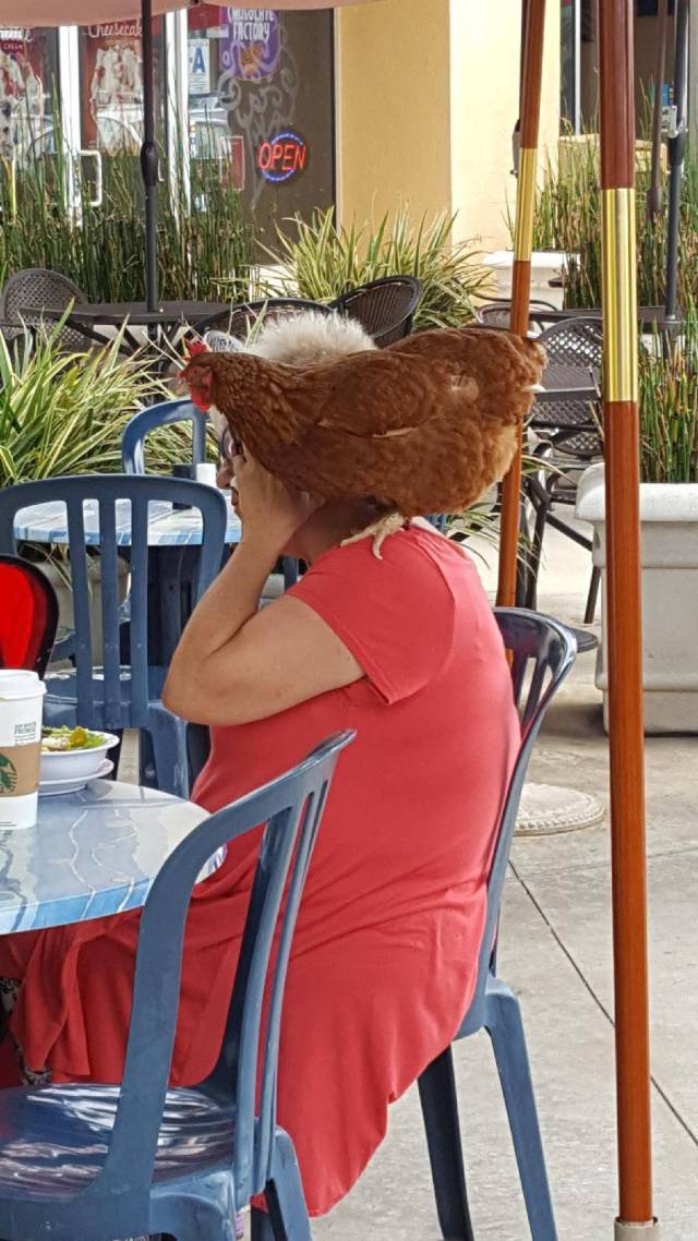 daily picdump 99 pics 9.html - 99 HD Photos | Premium Gallery 2017