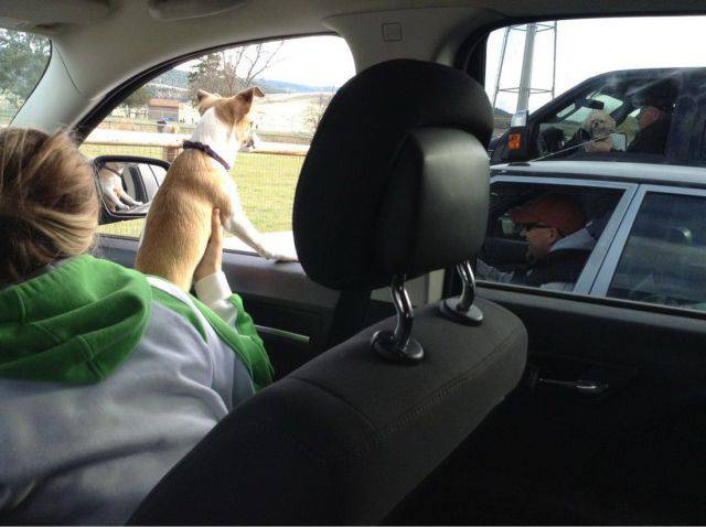 morning picdump 50 pics 2.html - 50 HD Photos | Premium Gallery 2017