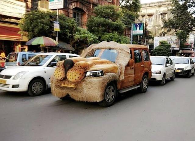 morning picdump 50 pics 2.html - 50 HD Photos | Premium Gallery 2017