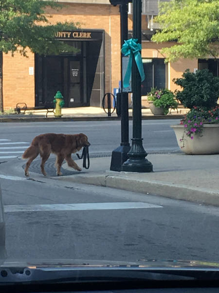 morning picdump 50 pics 2.html - 50 HD Photos | Premium Gallery 2017