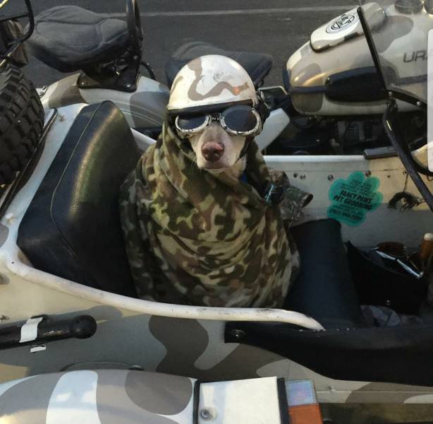 morning picdump 50 pics 2.html - 50 HD Photos | Premium Gallery 2017