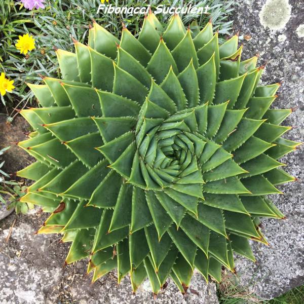 Daily Picdump [WEEKEND EDITION]