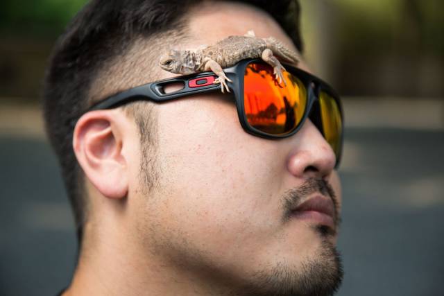 Daily Picdump [WEEKEND EDITION]