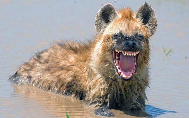 daily picdump weekend edition 64 pics 14.html - 64 HD Photos | Premium Gallery 2017