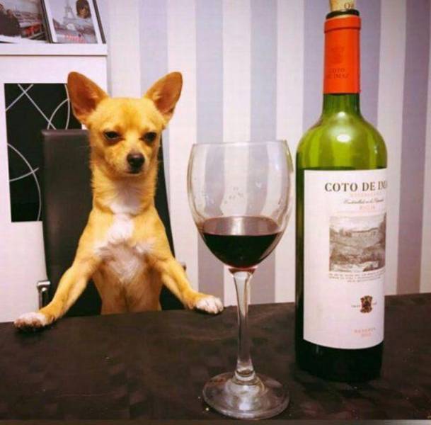 daily picdump weekend edition 64 pics 14.html - 64 HD Photos | Premium Gallery 2017