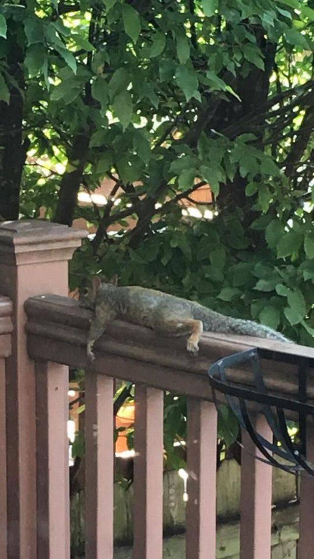 Daily Picdump [WEEKEND EDITION]