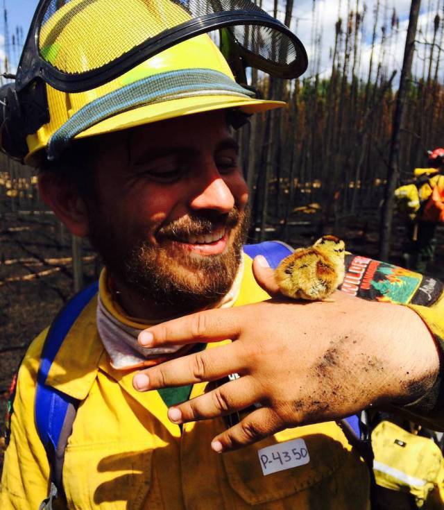 daily picdump weekend edition 64 pics 14.html - 64 HD Photos | Premium Gallery 2017