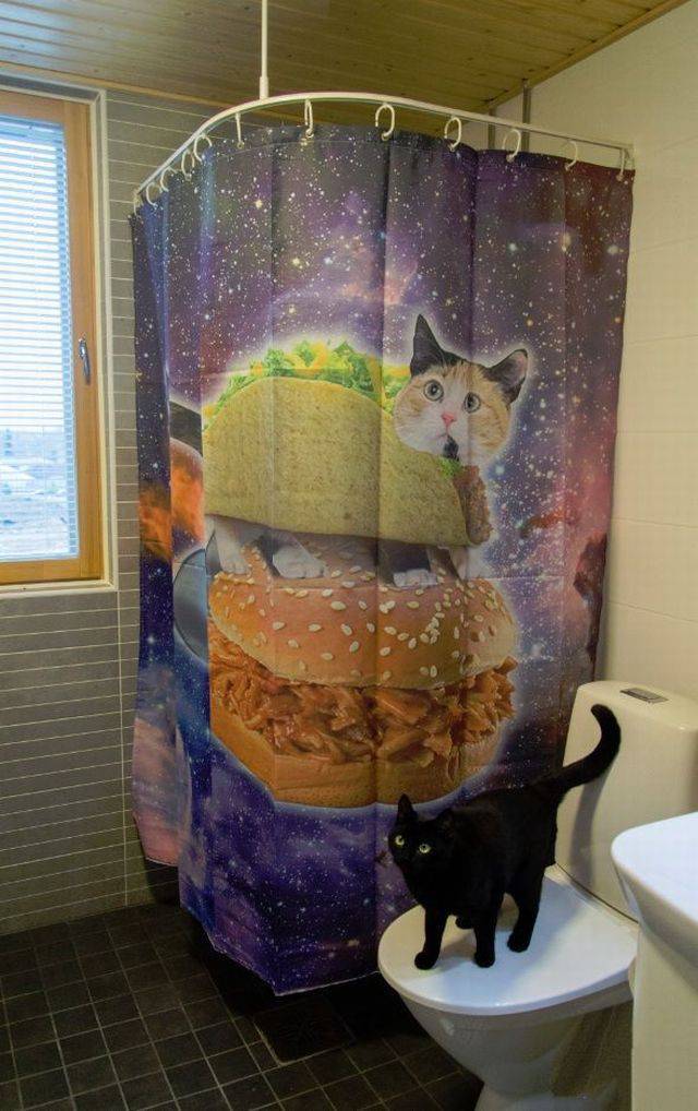 daily picdump weekend edition 64 pics 14.html - 64 HD Photos | Premium Gallery 2017