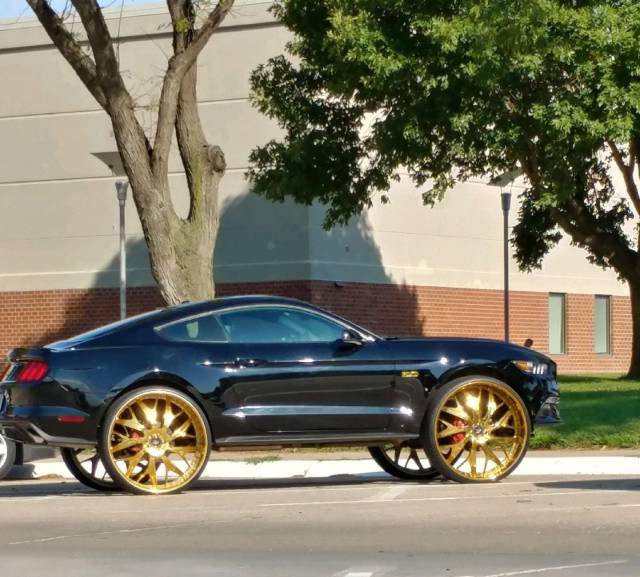 daily picdump 92 pics 1.html - 92 HD Photos | Premium Gallery 2017