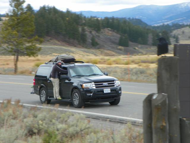 daily picdump 92 pics 1.html - 92 HD Photos | Premium Gallery 2017