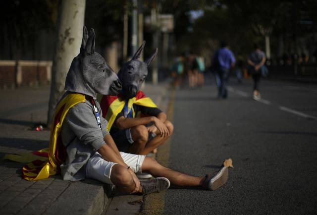 daily picdump 92 pics 1.html - 92 HD Photos | Premium Gallery 2017