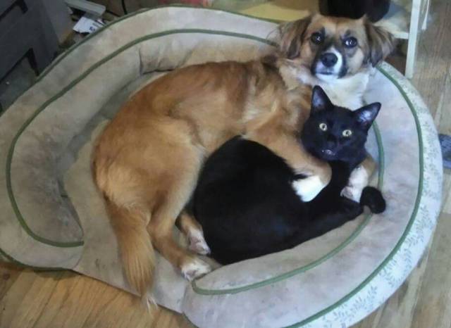 daily picdump 92 pics 1.html - 92 HD Photos | Premium Gallery 2017