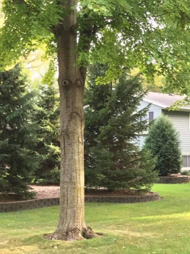 daily picdump 92 pics 1.html - 92 HD Photos | Premium Gallery 2017