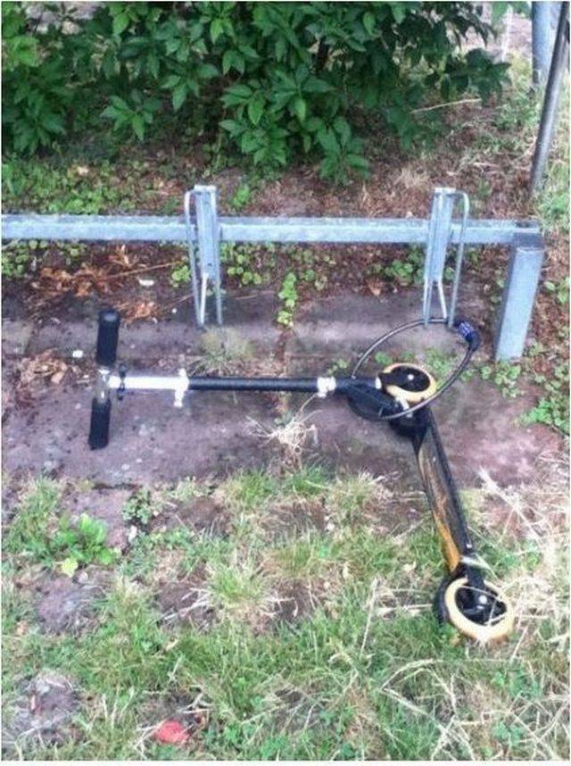 daily picdump 92 pics 1.html - 92 HD Photos | Premium Gallery 2017