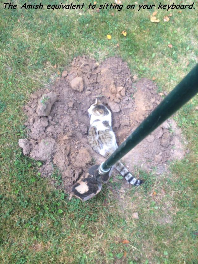 daily picdump 92 pics 1.html - 92 HD Photos | Premium Gallery 2017