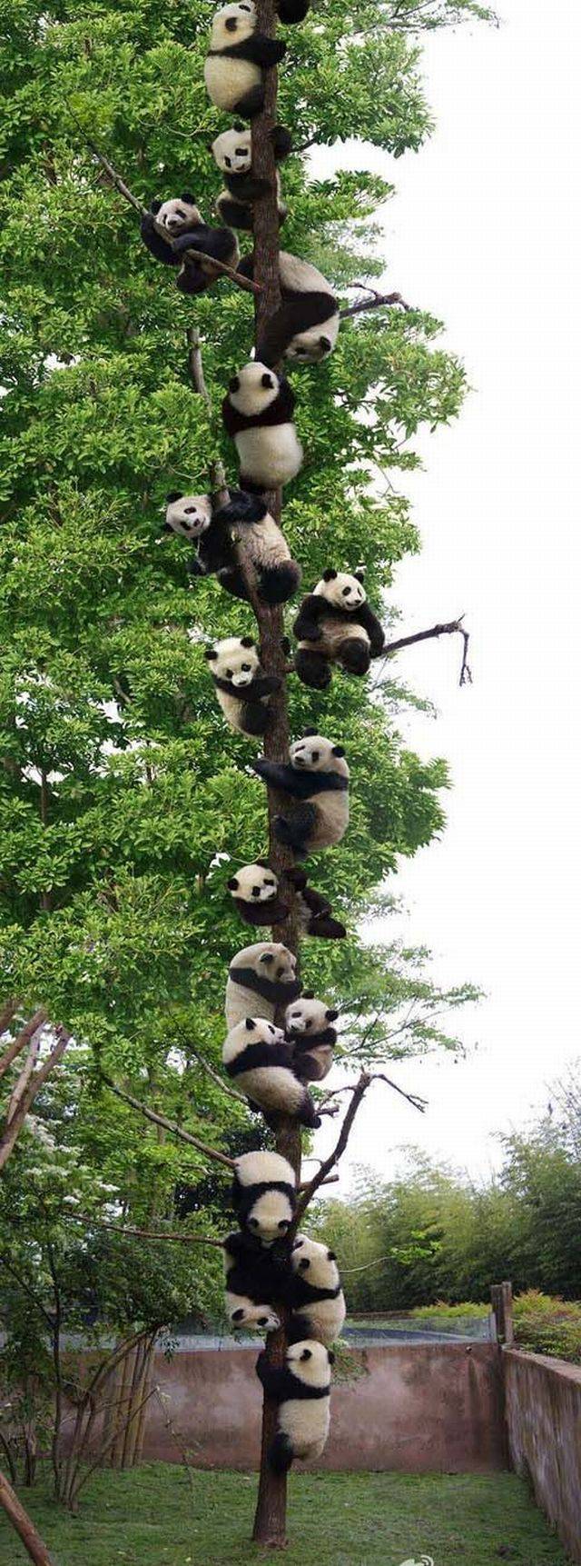 daily picdump 92 pics 1.html - 92 HD Photos | Premium Gallery 2017